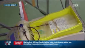 "Un niveau jamais atteint depuis 10 ans": l'Établissement français du sang appelle au don face à la pénurie