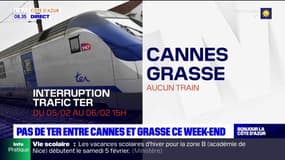 Aucun TER ne circulera ce week-end entre Cannes et Grasse