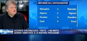 Bernard Fripiat: la réforme de l'orthographe "frise le sadisme"