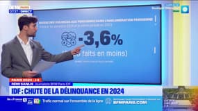 Île-de-France: la délinquance chute dans la région