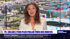 Paris: la pollution de l'air deux fois plus élevée aux abords des axes routiers