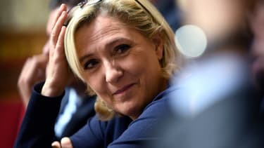 Marine Le Pen à l'Assemblée nationale, le 14 novembre 2018.