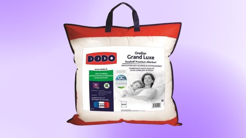 Non vous ne rêvez pas, cet oreiller DODO profite bien d'une offre dingue et s’affiche à moins de 24 euros
