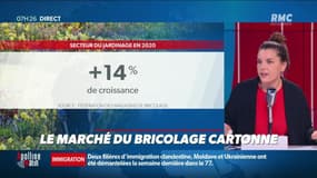 Dupin Quotidien : Le marché du bricolage cartonne - 20/04