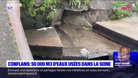 Conflans-Sainte-Honorine: 50.000 mètres cubes d'eaux usées dans La Seine