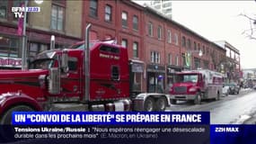Un "convoi de la liberté" se prépare en France