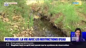 Peyrolles : la vie avec les restrictions d'eau