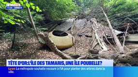 Parc de la Tête d'Or : sur l'île des Tamaris, une pollution cachée ?