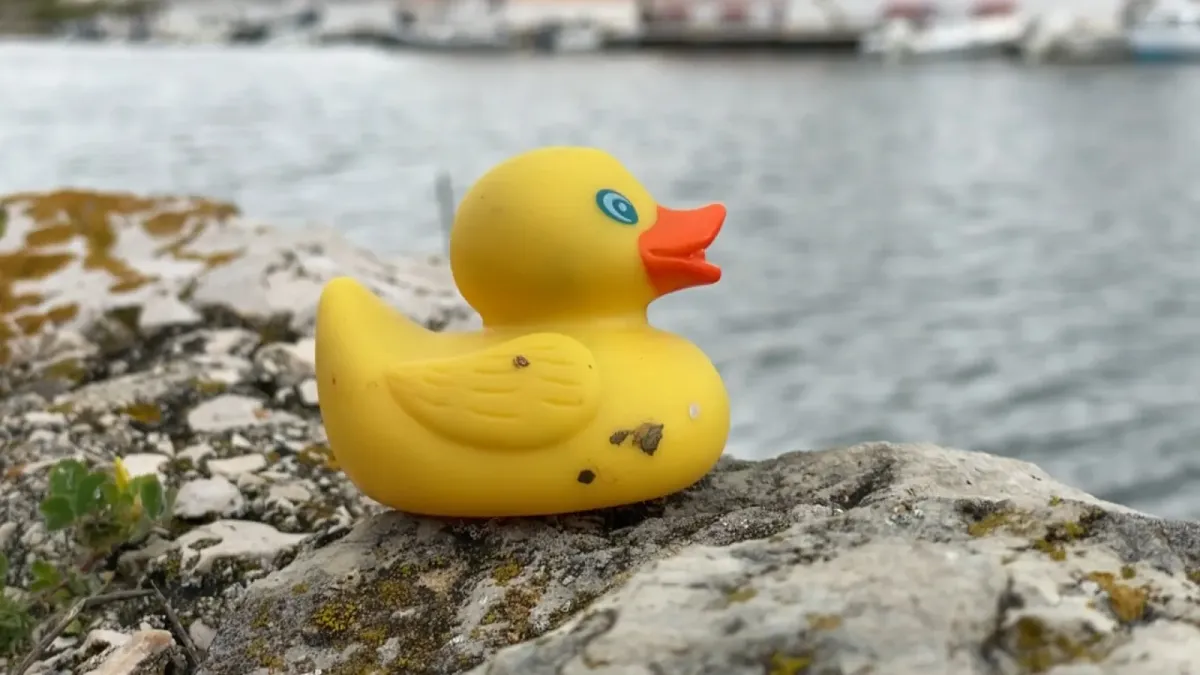 placeholder video