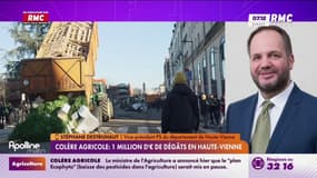 Colère agricole : Jusqu'à "1 millions d'euros" de dégâts