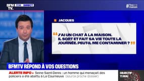 J'ai un chat qui sort toute la journée, peut-il me contaminer ? 