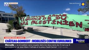 Château-Gombert: rassemblement de manifestants pro-Palestine devant l'entreprise Eurolinks