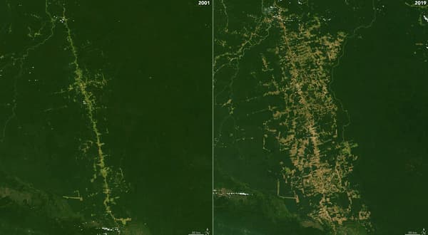 La forêt amazonienne, dans l'État de Rondônia, dans l'ouest du Brésil, en 2001 et en 2019, captured by Landsat