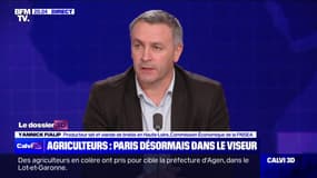 Yannick Fialip (FNSEA): "Un certain nombre de régions du Nord de la France ont prévu de venir sur les routes autour de Paris pour porter le message au plus près du président de la République"