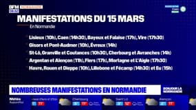 Grève du 15 mars: nouvelle journée de manifestation en Normandie