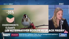 Objectif Terre : Les alternatives écolos au Black Friday - 26/11