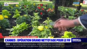 Festival de Cannes: opération de grand nettoyage