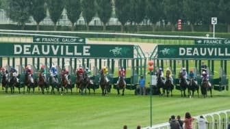 Les pronos hippiques du dimanche 15 août