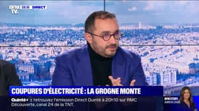 Coupures d'électricité: "Les préconisations du gouvernement frisent l'amateurisme", assure Stéphane Manigold 