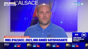 L'année 2023 s'annonce satisfaisante pour l'IGP du Miel d'Alsace