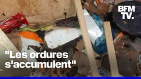 Aux États-Unis, une mère abandonne ses enfants dans une maison pendant plusieurs années