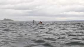 Une baleine à bosse a brièvement avalé un kayakiste dans le détroit de Magellan, dans le sud du Chili, avant de le recracher indemne.
