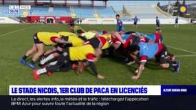 Rugby: le Stade Niçois devient le club qui compte le plus de licenciés en Provence-Alpes-Côte-d'Azur