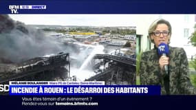 Rouen: "L'usine Lubrizol va devoir indemniser ce qu'elle a pollué" (maire de Canteleu)