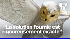  Le co-créateur de la "Chouette d'or" annonce une nouvelle chasse au trésor au printemps 2025