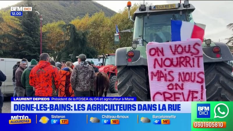 Digne-les-Bains: les agriculteurs dans la rue pour une opération coup de poing