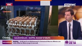 Salmonelles : Rappel massif d'œufs 