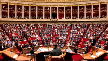 En moyenne, pendant 5 ans, les députés ont touché tous les 10 jours à la fiscalité. (DR)
