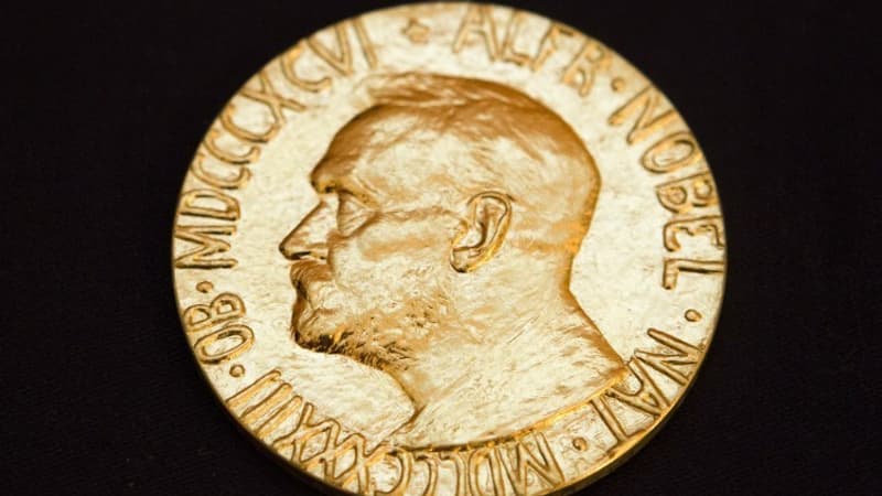Volodymyr Zelensky, Greta Thunberg, Alexeï Navalny... Qui sont les favoris pour le prix Nobel de la paix?