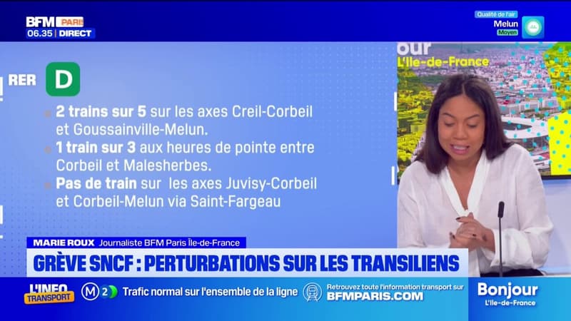 Île-de-France: des perturbations sur les lignes de Transilien et RER en raison...