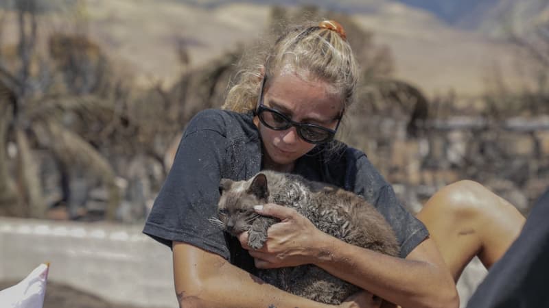 Une femme tient son chat à Lahaina, à Hawaï, après le grave incendie qui a touché la ville, le 11 août 2023