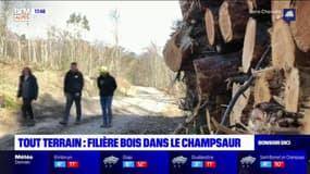 Tout terrain: au cœur de la filière bois dans le Champsaur