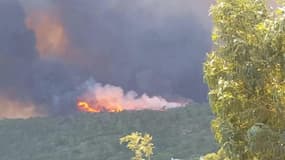 Var : immense feu de forêt à Bormes-les-Mimosas - Témoins BFMTV