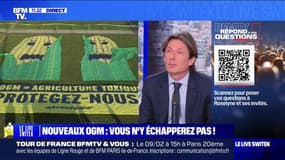 Qu'est-ce les NTG, ces "nouveaux OGM"?  BFMTV répond à vos questions