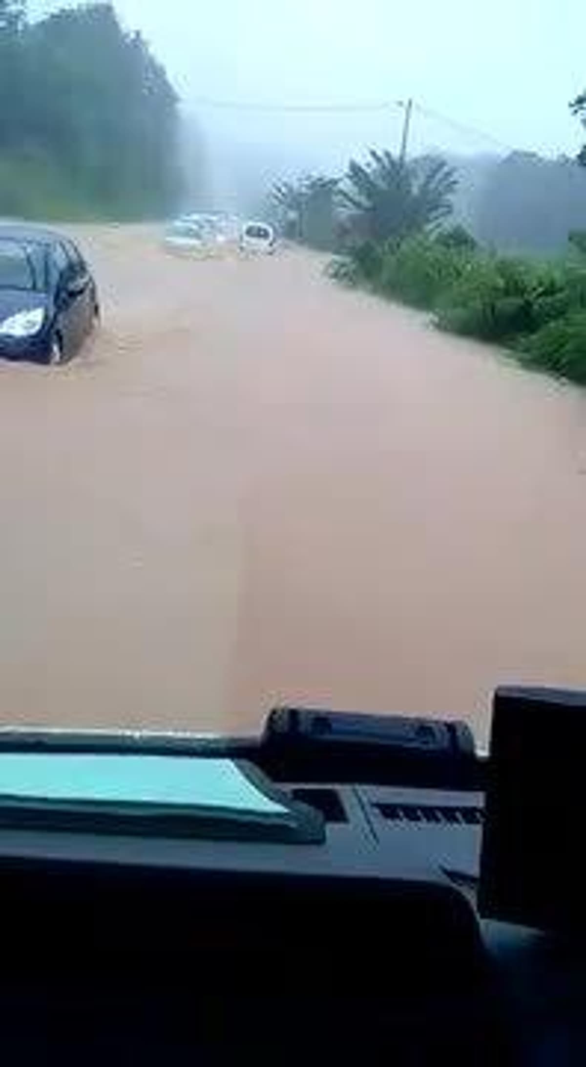 placeholder video