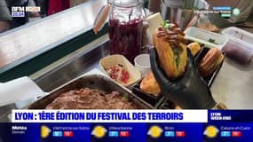 Lyon : 1ère édition du festival des terroirs