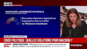 Démission de Sébastien Lecornu: quelles solutions se présentent à Emmanuel Macron?