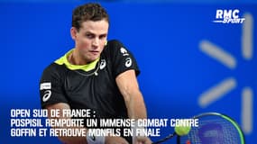 Open sud de France : Pospisil remporte un immense combat contre Goffin et retrouve Monfils en finale