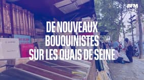 De nouveaux bouquinistes investissent les quais de Seine