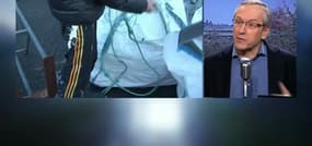 Métaux lourds, déchets organiques… la peu ragoûtante composition de nos boîtes de thon