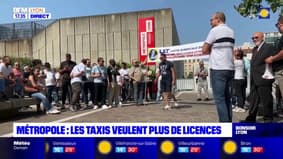 Métropole de Lyon : les taxis veulent plus de licences