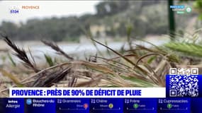 "Ça risque d'être un problème": près de 90% de déficit de pluie enregistrés en Provence