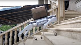 Le chien robot chinois Unitree A2 Stellar Explorer