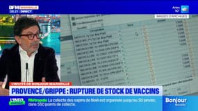 Provence-Alpes-Côte d'Azur: une épidémie de grippe et une baisse de la vaccination