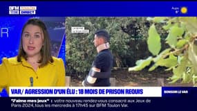 La Seyne-sur-Mer: 18 mois de prison requis après l'agression d'un élu écologiste