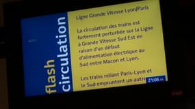 De nombreuses perturbations touchent les trains au départ de la gare de Lyon ce vendredi 25 juillet.